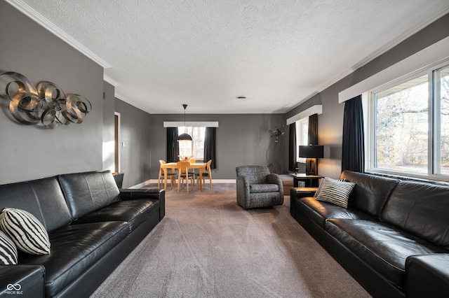 living area featuring ornamental molding, baseboards, carpet floors, and a textured ceiling