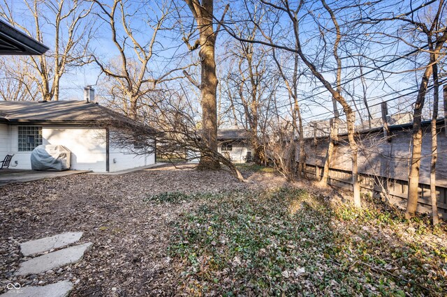 view of yard featuring a patio