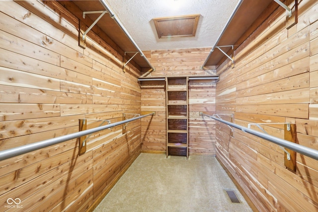 walk in closet with visible vents, attic access, and carpet floors