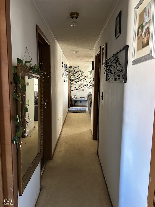 910 Howard Ave, Rockville, IN 47872 - photo 8