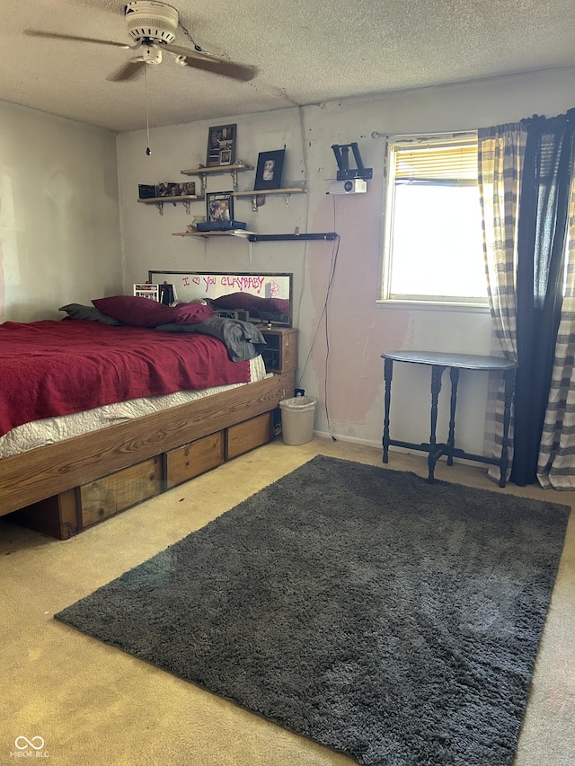 910 Howard Ave, Rockville, IN 47872 - photo 9