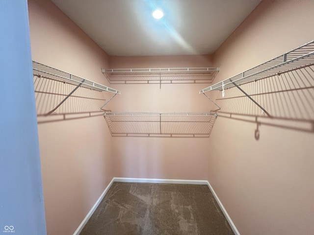 walk in closet with carpet flooring
