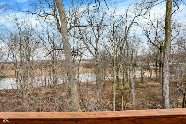 view of water feature