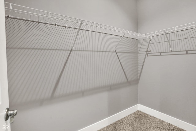 walk in closet featuring carpet floors