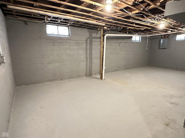 basement with electric panel