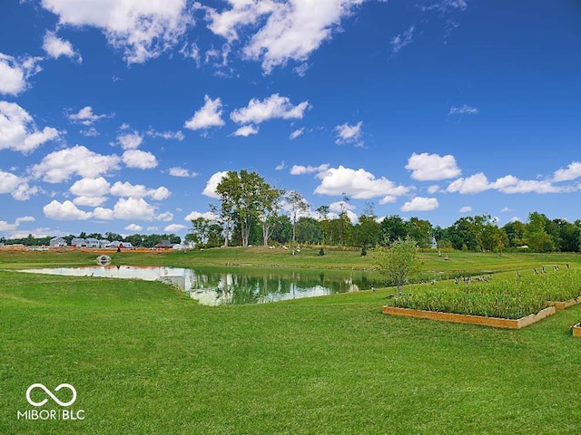 property view of water