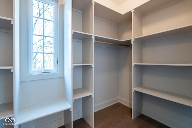 walk in closet with dark wood-style floors