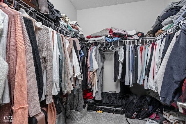 spacious closet featuring lofted ceiling and carpet floors