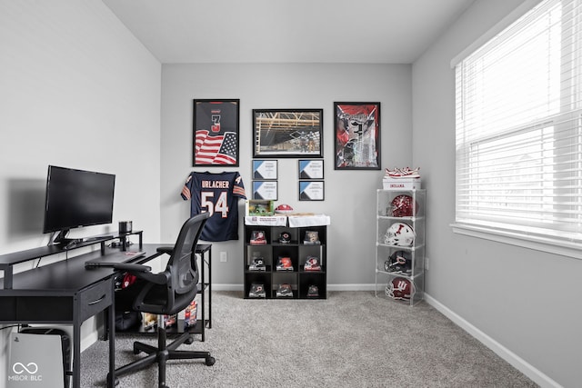 office space with plenty of natural light, carpet flooring, and baseboards