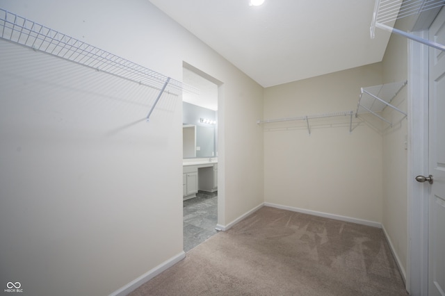 walk in closet with carpet floors