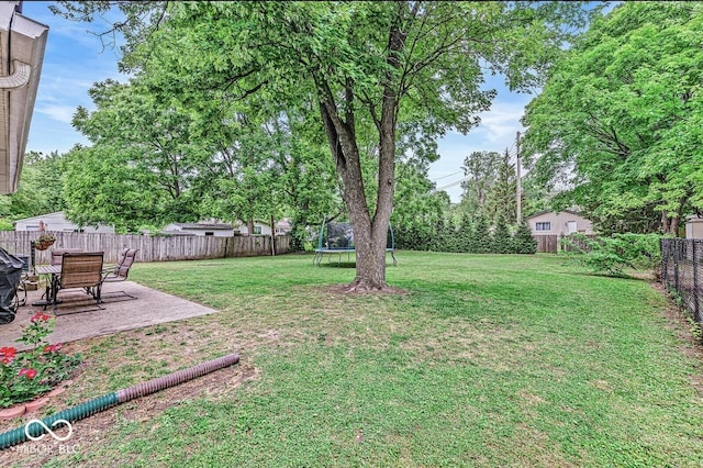 view of yard with a patio, a trampoline, and a fenced backyard