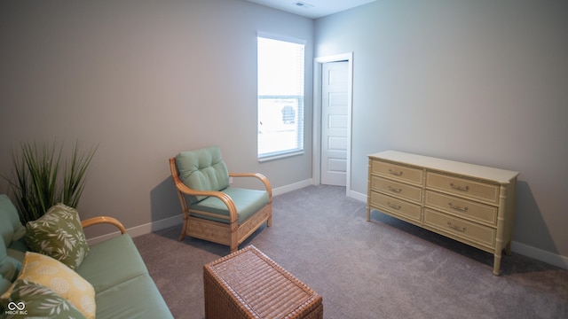 2349 S Copperstone Dr, New Palestine, IN 46163 - sitting room featuring baseboards, a healthy amount of sunlight, and carpet flooring
