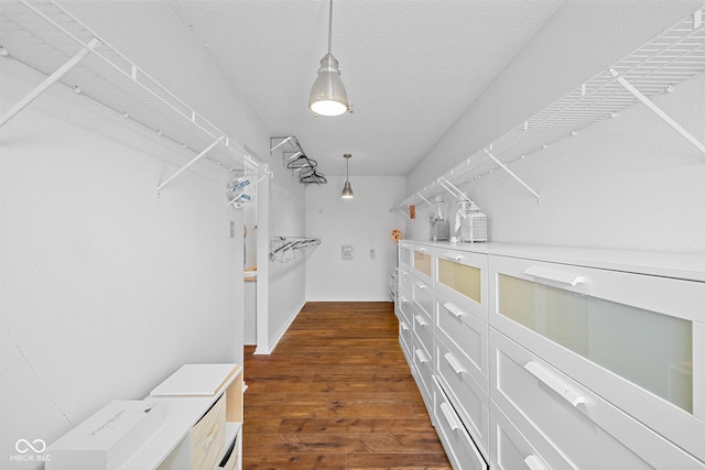 walk in closet featuring dark wood-style floors