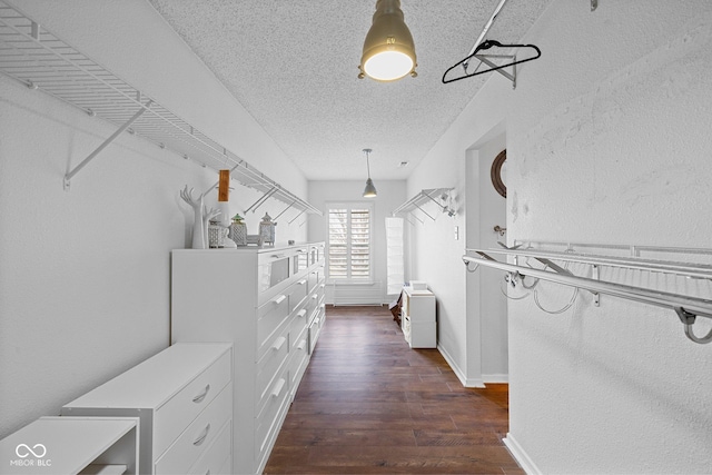 walk in closet with dark wood-type flooring