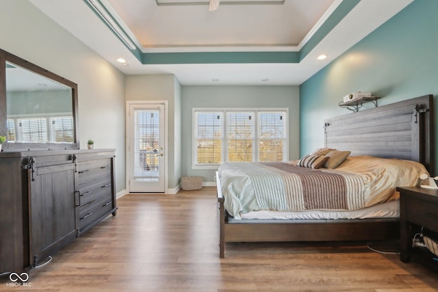 bedroom with multiple windows, baseboards, a tray ceiling, and wood finished floors