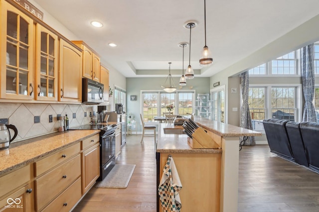 kitchen with black electric range oven, tasteful backsplash, open floor plan, a raised ceiling, and dark wood-style flooring