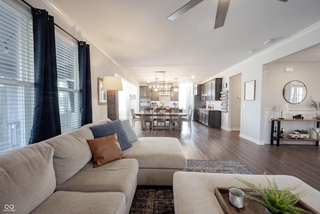 living room with dark wood finished floors, crown molding, ceiling fan with notable chandelier, and a healthy amount of sunlight