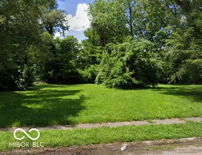 3446 Caroline Ave, Indianapolis, IN 46218 - photo 2