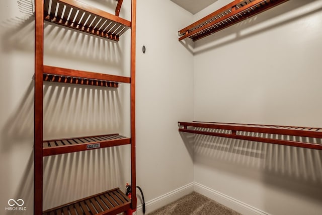 spacious closet with carpet floors