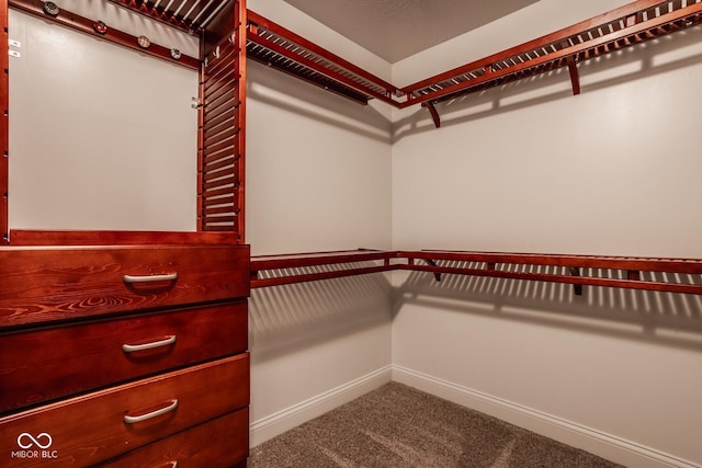 walk in closet with carpet floors