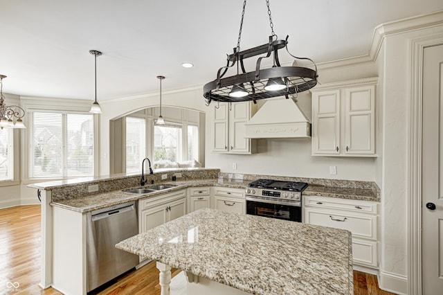 kitchen featuring custom exhaust hood, a sink, stainless steel appliances, crown molding, and light wood-type flooring