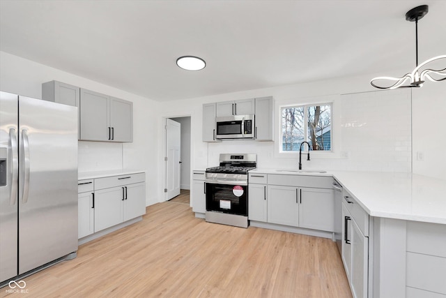 kitchen with light wood-style flooring, light countertops, stainless steel appliances, gray cabinetry, and a sink