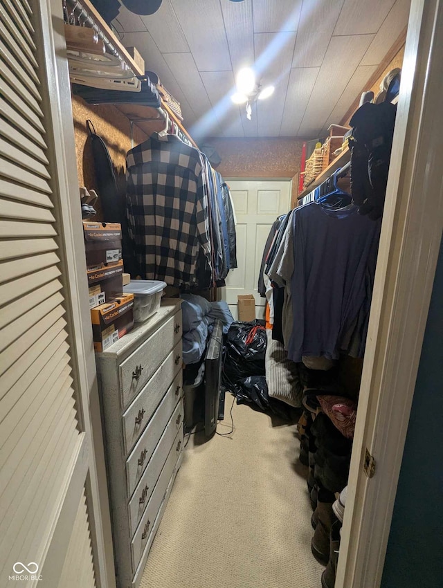 spacious closet featuring carpet floors