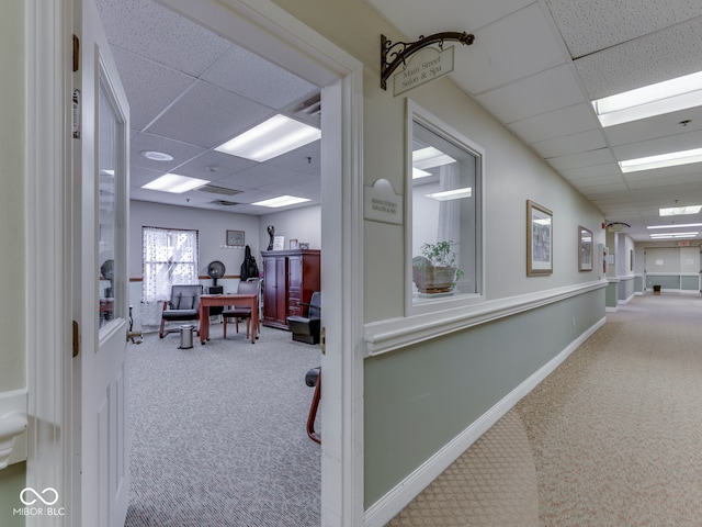 home office with a paneled ceiling, baseboards, and carpet floors