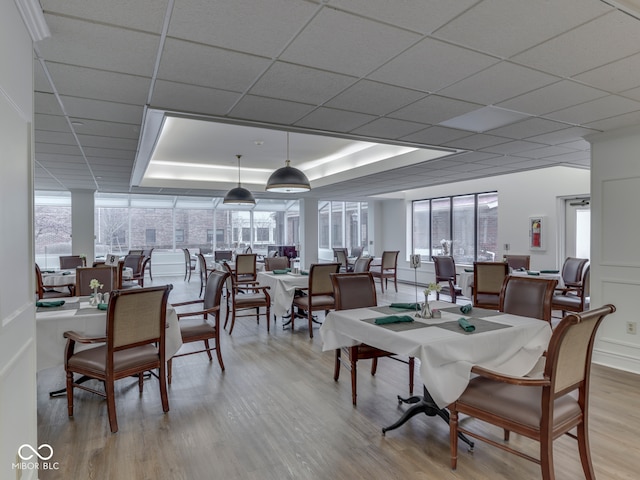 dining room featuring a wealth of natural light, a paneled ceiling, light wood-style floors, and a tray ceiling