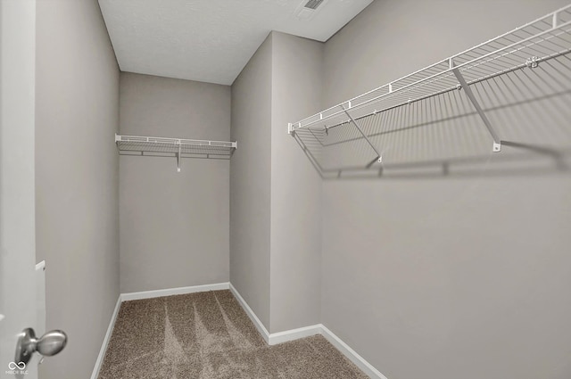 walk in closet featuring visible vents and carpet floors