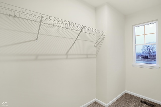 walk in closet featuring visible vents and carpet