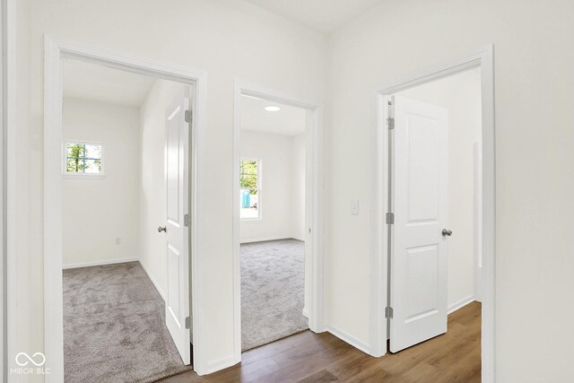 3687 Thomas Jefferson Ct, Westfield, IN 46074 - photo 28