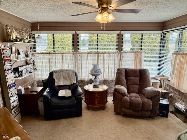 interior space featuring a healthy amount of sunlight, a textured ceiling, and carpet flooring