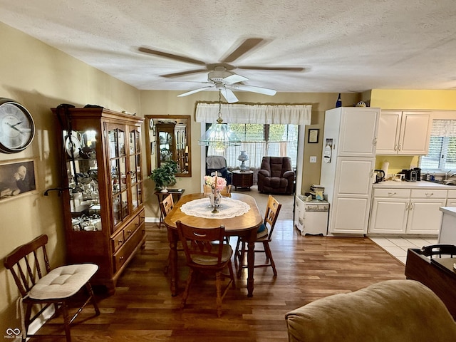 dining area with light wood finished floors, a ceiling fan, and a healthy amount of sunlight