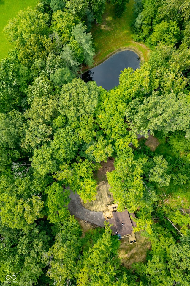 aerial view featuring a view of trees and a water view