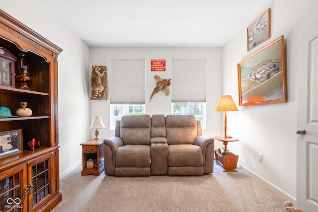 936 Plunkett Ave, Westfield, IN 46074 - carpeted living room with baseboards