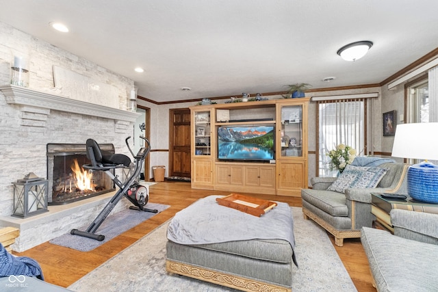 living area featuring wood finished floors, ornamental molding, and a fireplace