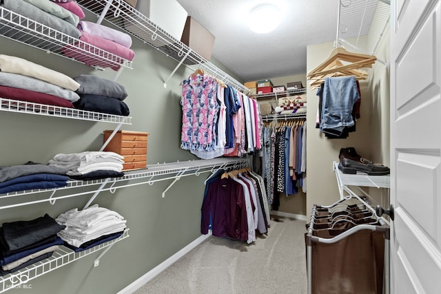 walk in closet featuring carpet flooring