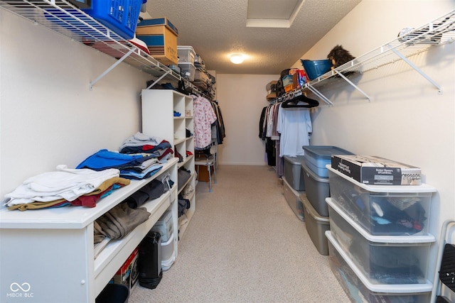 view of spacious closet