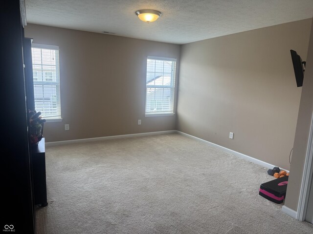 14309 Shooting Star Dr, Noblesville, IN 46060 - empty room featuring carpet, a textured ceiling, and plenty of natural light