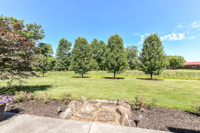 14034 Wicklow Ln, Fishers, IN 46040 - view of grassy yard