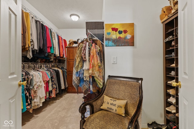 walk in closet featuring carpet floors