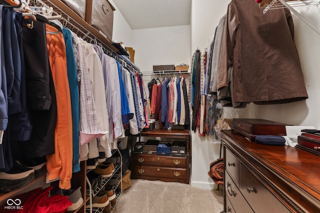 spacious closet with carpet