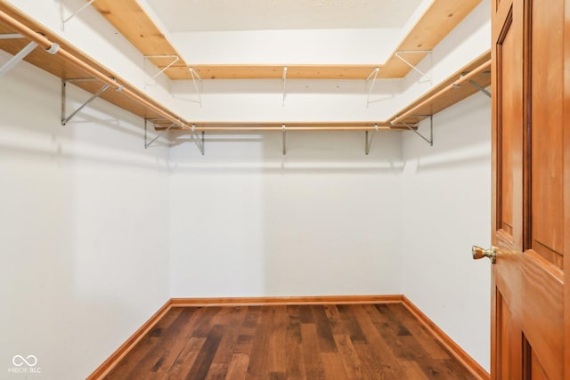 walk in closet with hardwood / wood-style flooring