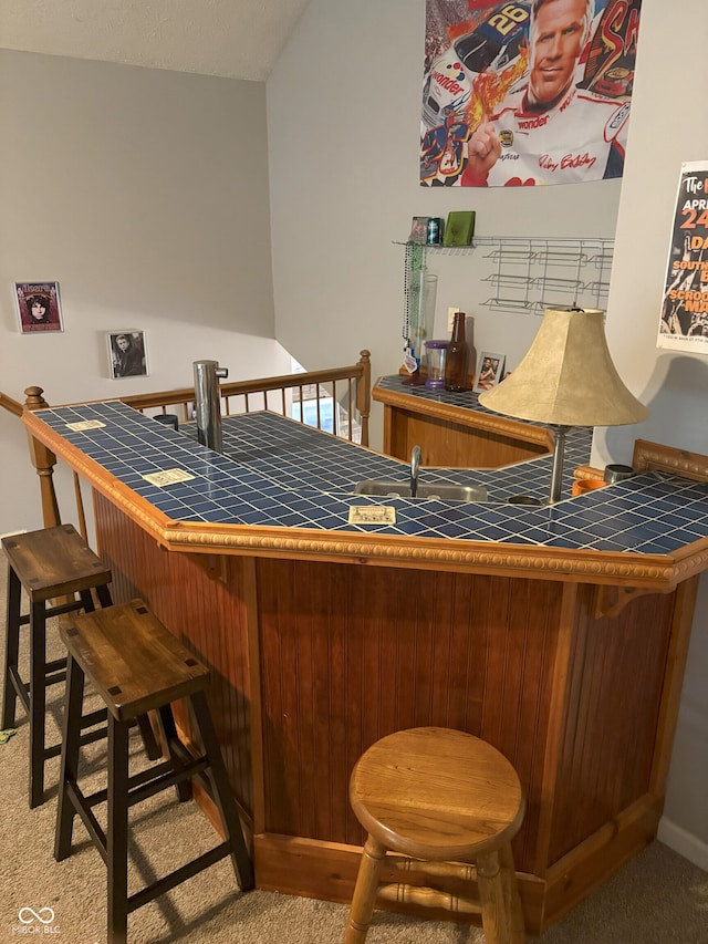 bar featuring indoor wet bar and carpet flooring