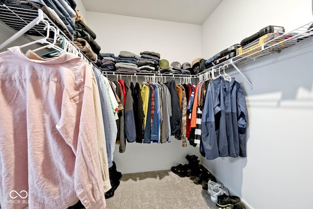 spacious closet featuring carpet