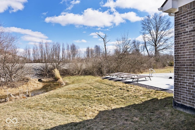 view of yard with a patio area