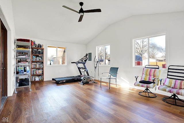 exercise area featuring lofted ceiling, ceiling fan, and wood finished floors