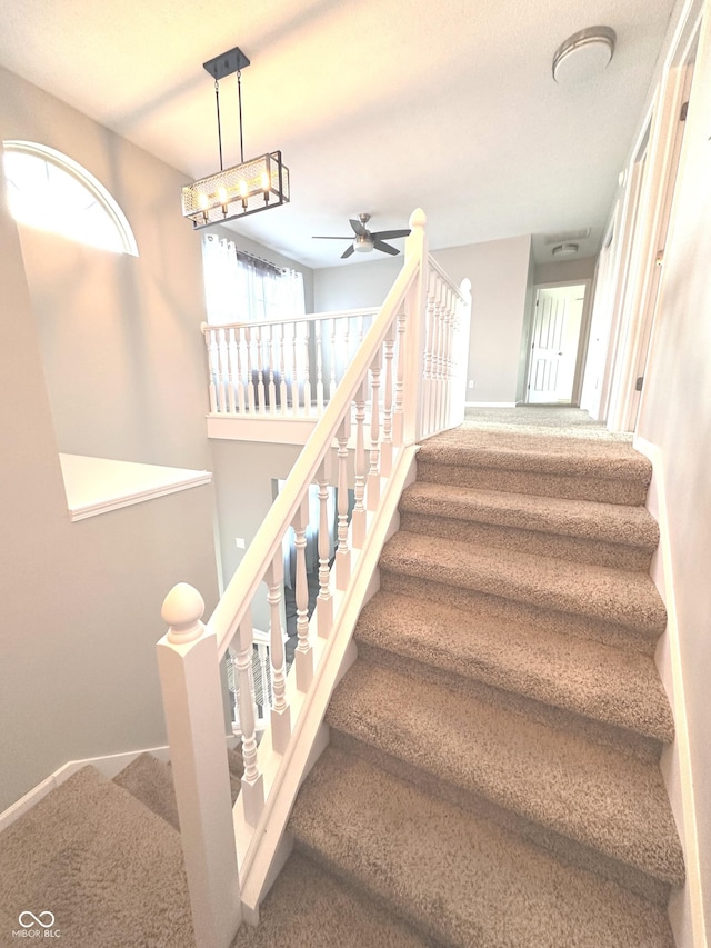 stairway featuring baseboards, carpet flooring, a ceiling fan, and a healthy amount of sunlight