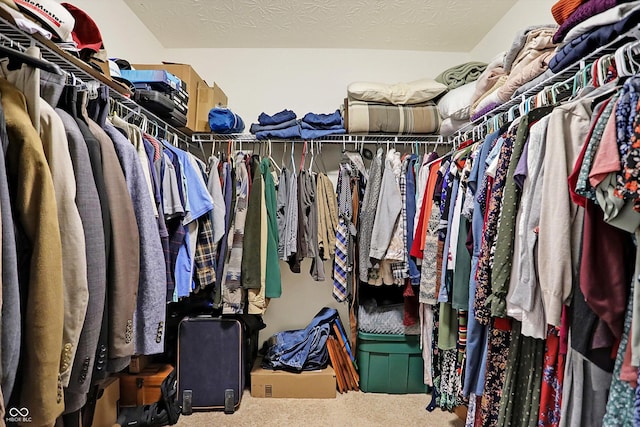 walk in closet with carpet flooring